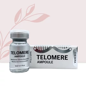 TELOMERE TELOMERE